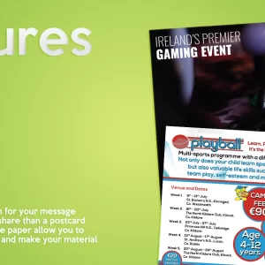 Poster & Brochure
